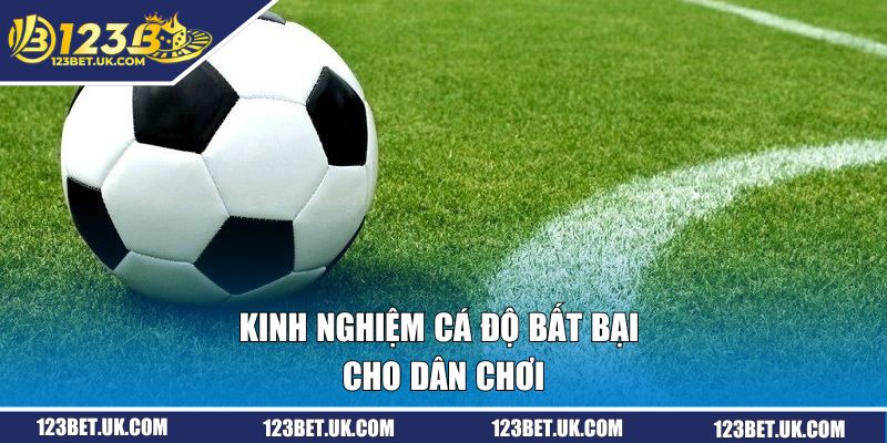 Kinh nghiệm cá độ bất bại cho dân chơi